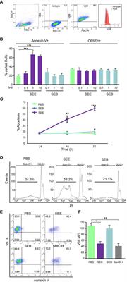 Apoptosis-mediated inhibition of human T-cell acute lymphoblastic leukemia upon treatment with Staphylococus Aureus enterotoxin-superantigen